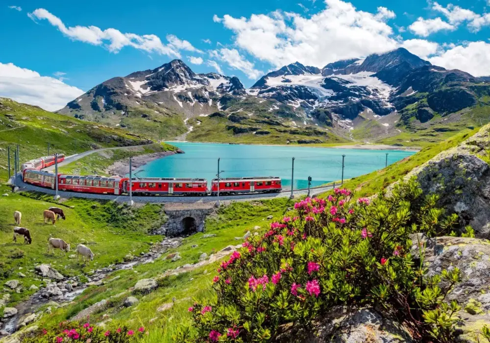 Bernina czy Glacier Express - który pociąg panoramiczny wybrać?