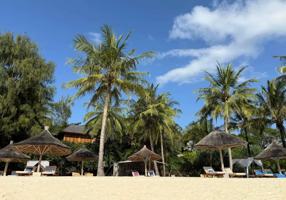 Zanzibar - jak zaplanować udany wyjazd? Poradnik krok po kroku
