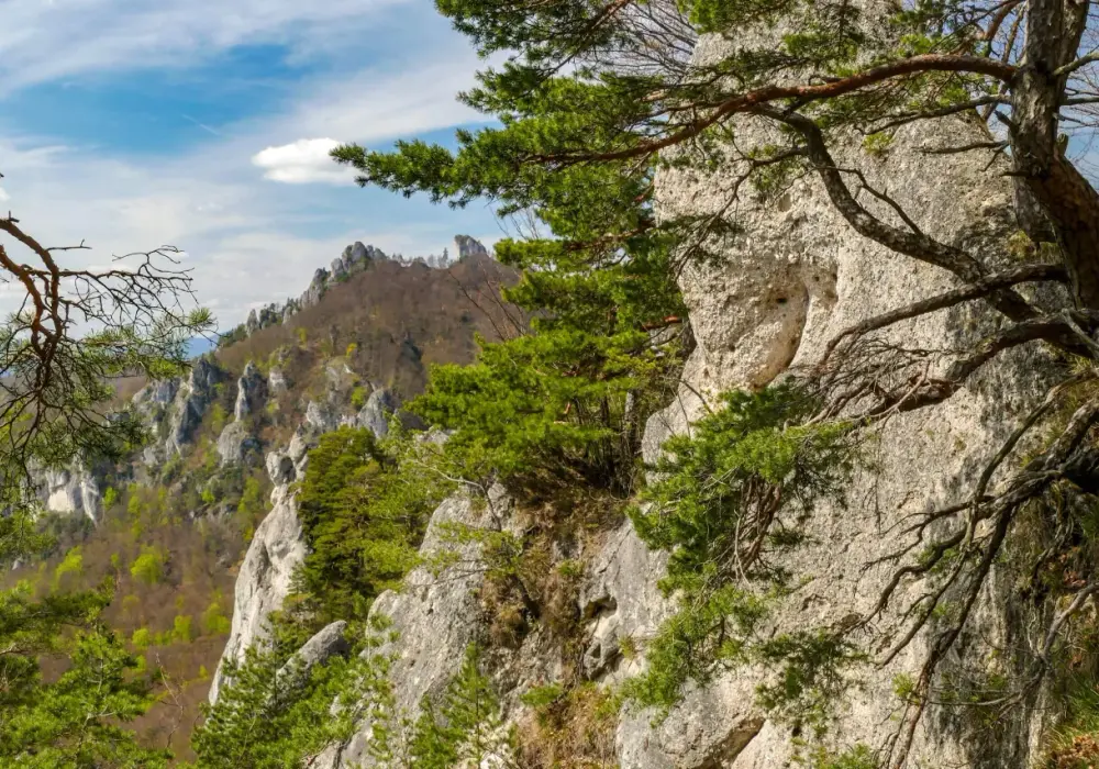 Súľovskie skały - jak zaplanować idealny trekking?