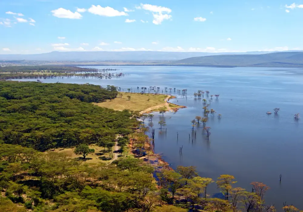 Kenia kiedy jechać: najlepsze miesiące na safari i plaże