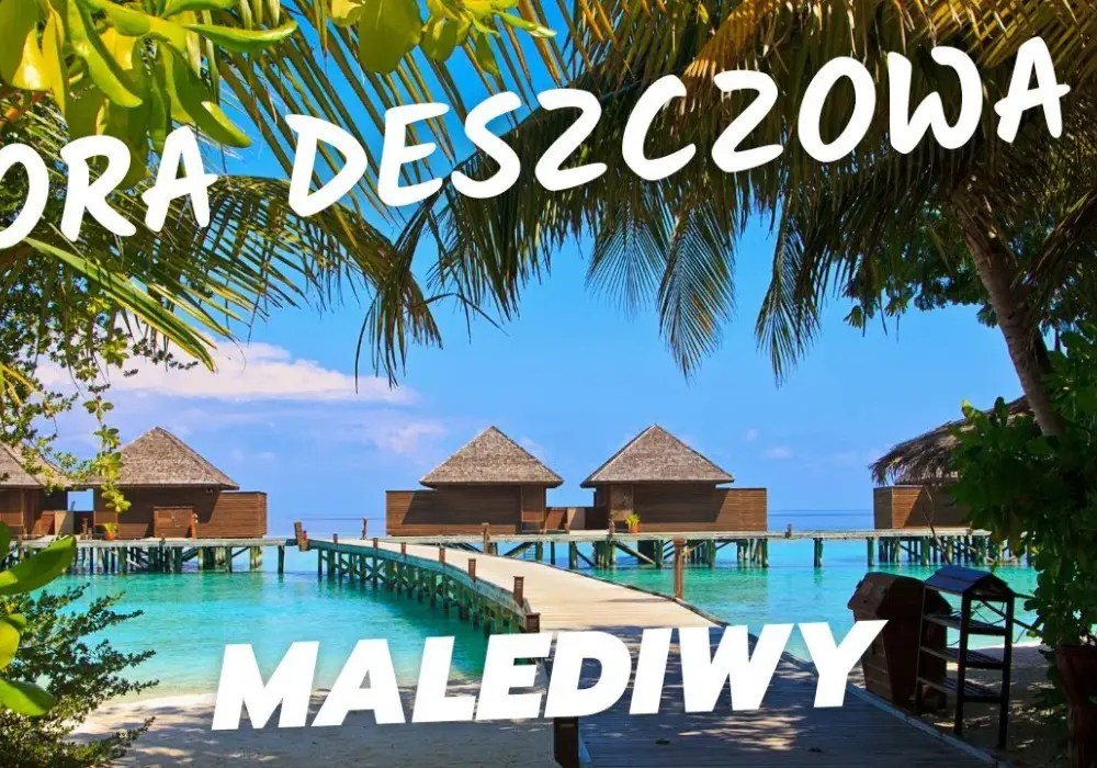 Najlepszy czas na Malediwy: Kiedy jechać, by uniknąć deszczu i zaoszczędzić?