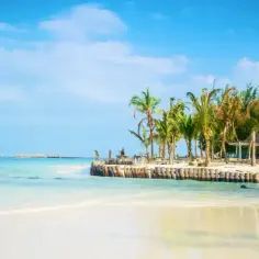 Rajska plaża z palmami i drewnianym molo. Marzysz o podróży? Sprawdź, ile się leci na Zanzibar!