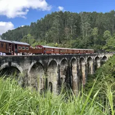 Pociąg na Nine Arch Bridge, Sri Lanka. Wiza do Sri Lanki to klucz do tej malowniczej podróży.