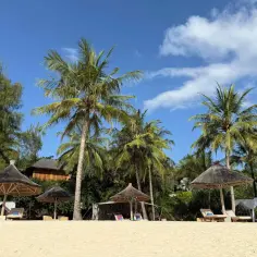 Rajskie zanzibar wakacje: piaszczysta plaża, palmy, leżaki pod strzechą i błękitne niebo. Idealne miejsce na relaks.