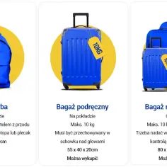Ryanair bagaż rejestrowany: ile przed odlotem trzeba go zarejestrować? Sprawdź zasady!