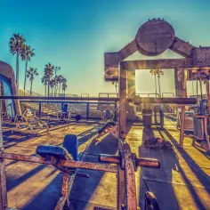 Słoneczny poranek na Venice Beach. Siłownia pod gołym niebem z palmami w tle.