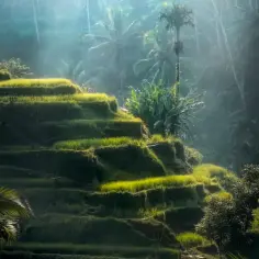 Kiedy jechać do Bali? Najlepszy czas na podróż, pogoda i unikanie tłumów