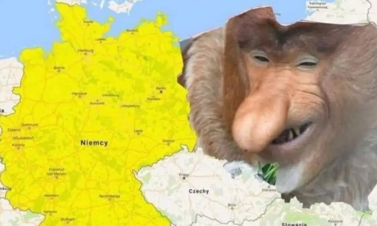 Zdjęcie Jak tam somsiedzie Niemcy? Zabawne memy i reakcje po porażce