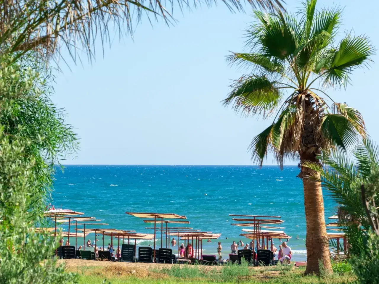 Słoneczna plaża z palmami i turkusowym morzem. Idealne miejsce na wakacje, jak z горящие туры из польши.