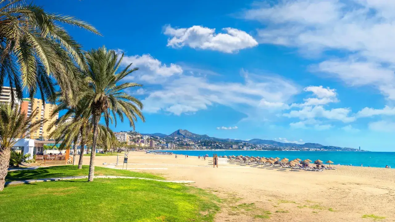 Słoneczne Malaga plaże z palmami, leżakami i turkusowym morzem. W tle widać miasto i góry.