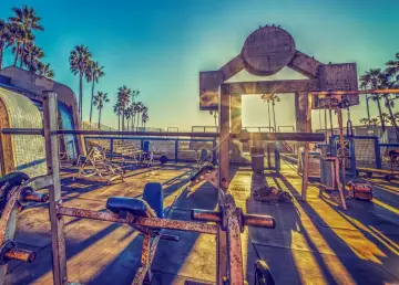 Słoneczny poranek na Venice Beach. Siłownia pod gołym niebem z palmami w tle.