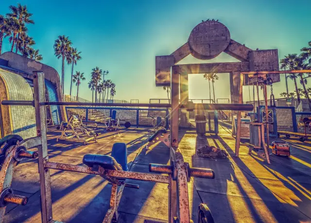 Słoneczny poranek na Venice Beach. Siłownia pod gołym niebem z palmami w tle.